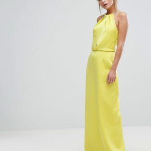 Ted Baker Maxi Dress With Chain Neckline - Liyanah